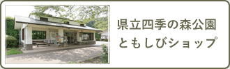 県立四季の森公園 ともしびショップ