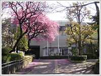横浜市つたのは学園外観写真